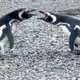 Screencap via Nat Geo